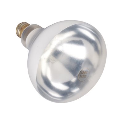 Ampoule infrarouge clair 250 watts anti eclat